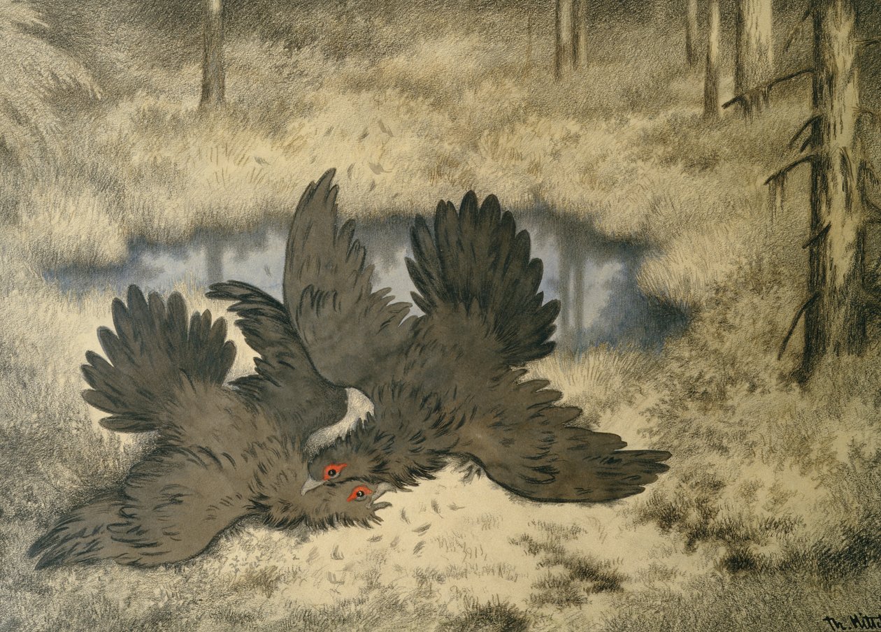 トロール鳥がそこで戦います 作： セオドア・キッテルセン