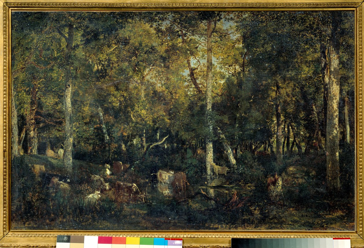 Interieur de bois dit le Vieux Dormoir du Bas-Breau (Fontainebleau forest) テオドール・ルソー(1812-1887)画 1836日 0,65x1,03 m パリ オルセー美術館蔵 作： ピエールエティエンヌセオドアルソー