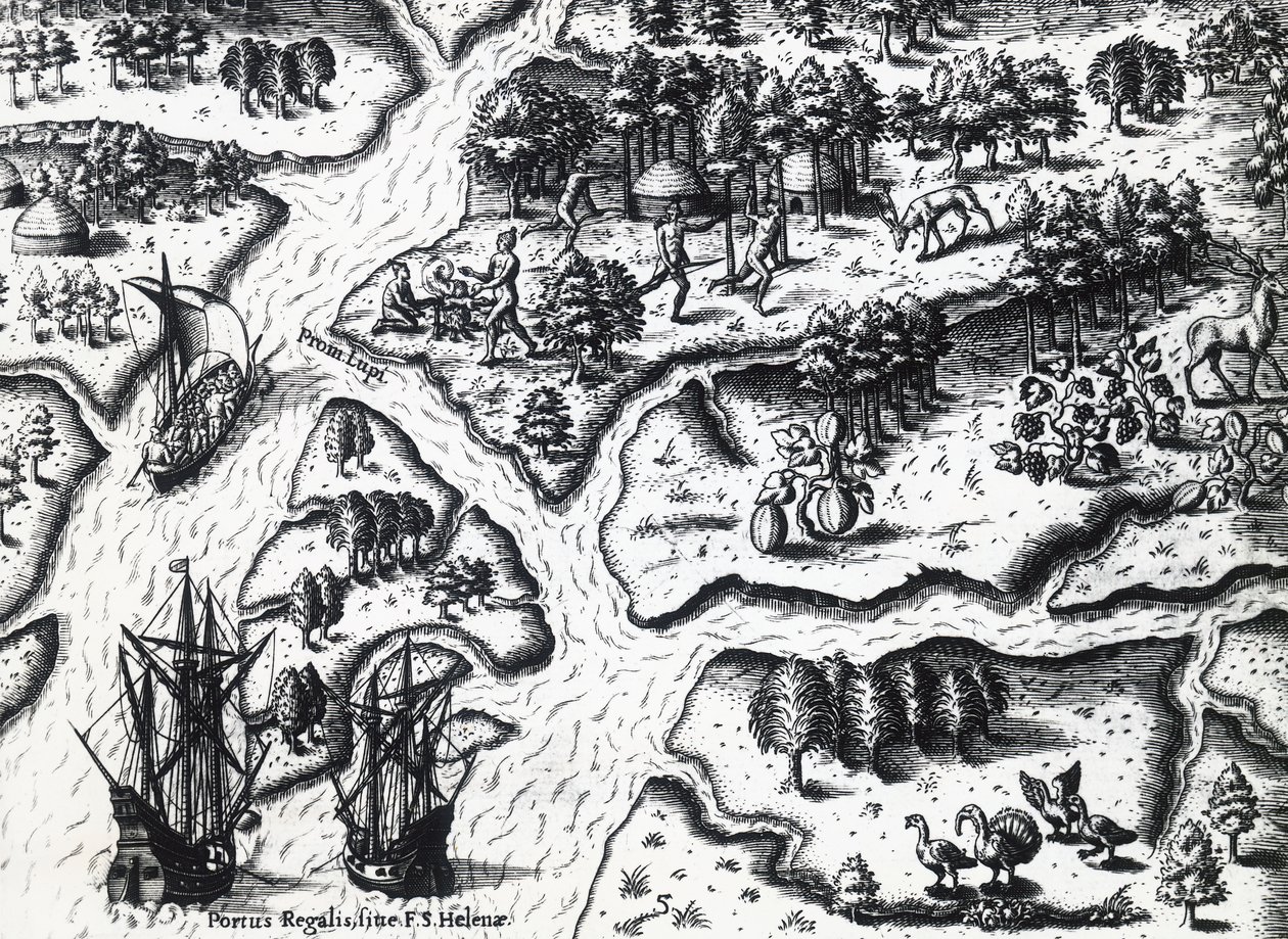 ジャック・ル・モワン・ド・モルグ（1533年頃～1588年前）の絵からテオドール・デ・ブライ（1528～1598年）が描いた1564年のポートロイヤルへのフランス人の到着、エングレーヴィング 作： セオドア・ド・ブリー