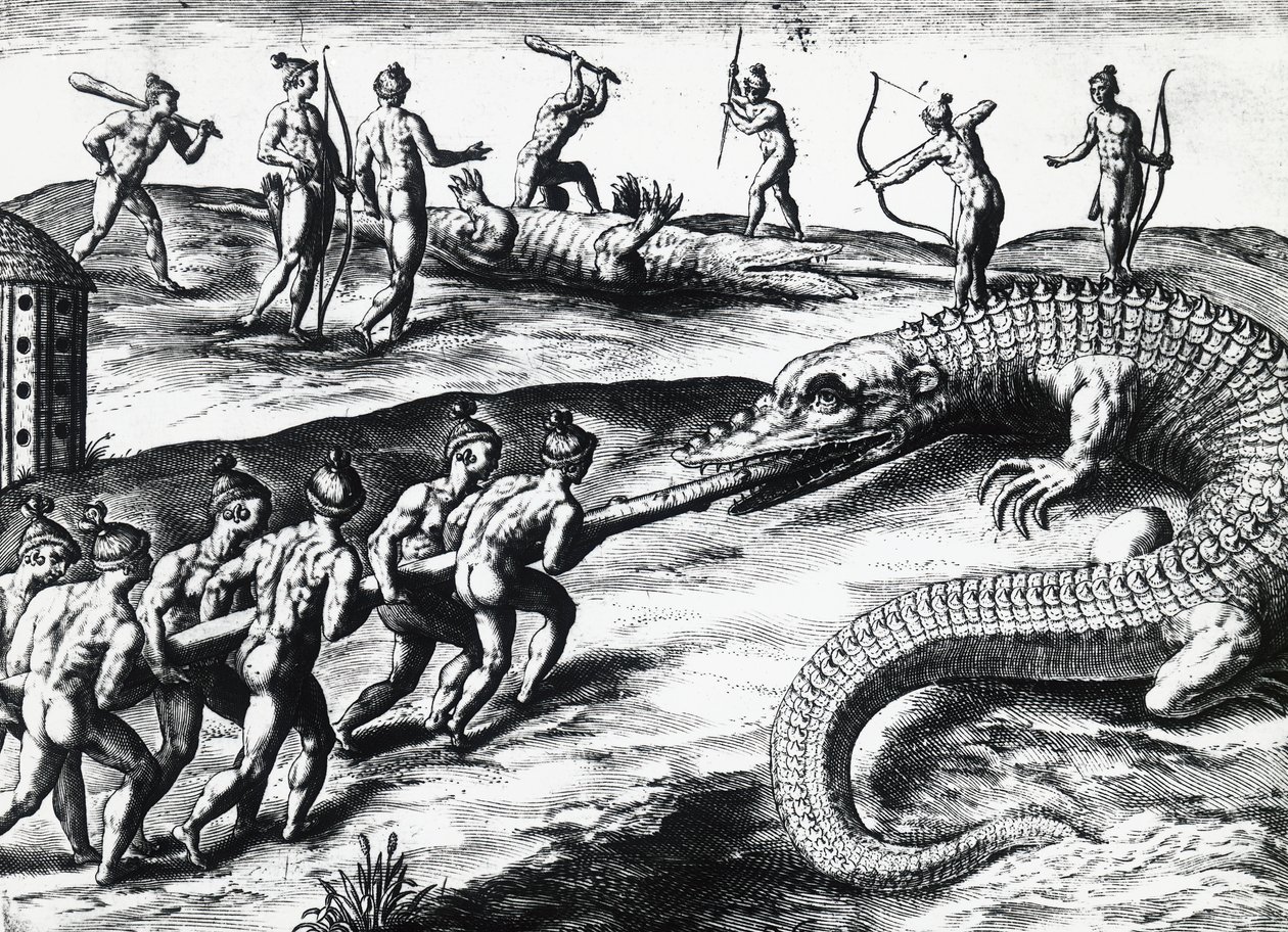 ジャック・ル・モワン・ド・モルグ（1533年頃-1588年以前）の絵から、テオドール・デ・ブライ（1528-1598）が描いたフロリダでのワニ狩り。 作： セオドア・ド・ブリー