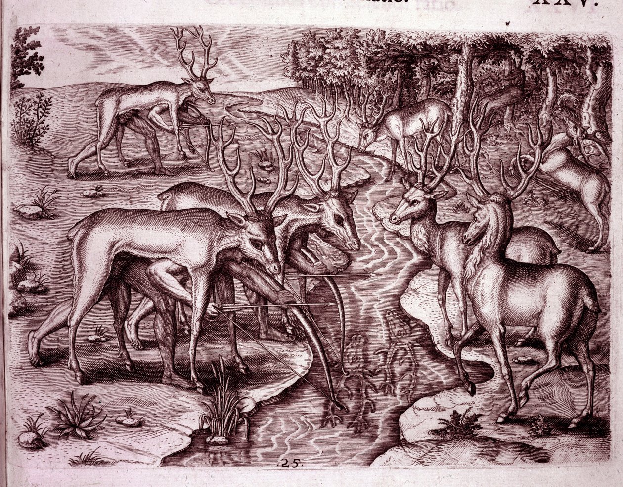 鹿の皮を使って他の鹿を狩るインディアン（Engraving 作： セオドア・ド・ブリー