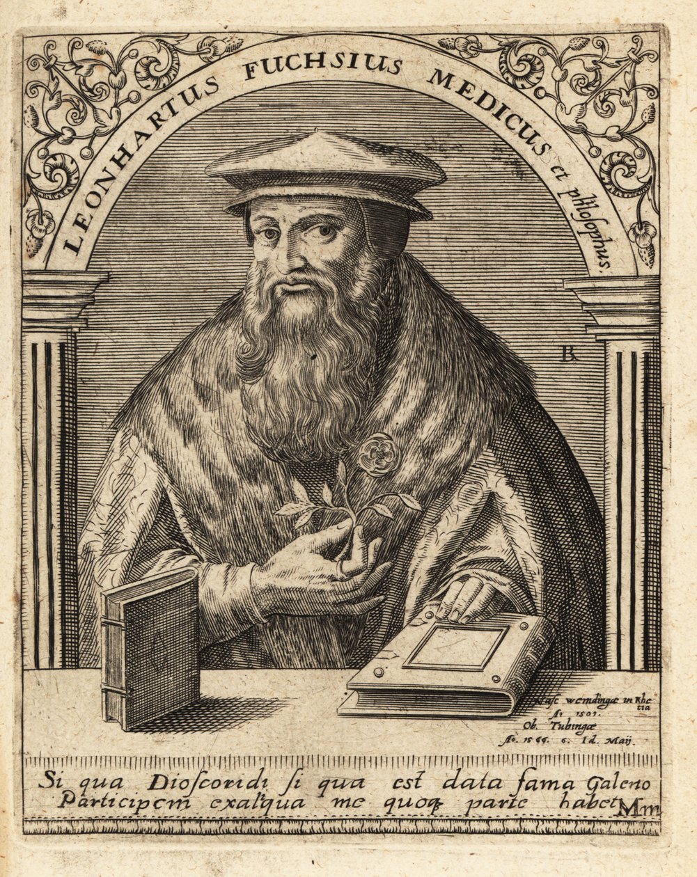 Leonhart Fuchs, ドイツの医師・植物学者 1501-1566 . 作： セオドア・ド・ブリー