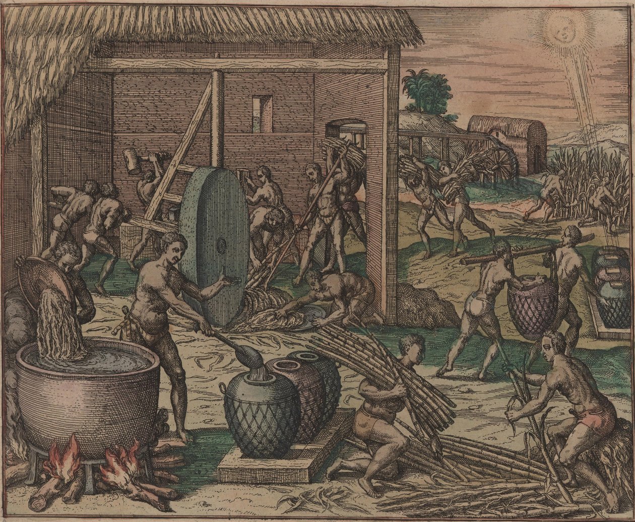 奴隷はサトウキビを加工して砂糖を作る、1595年。
