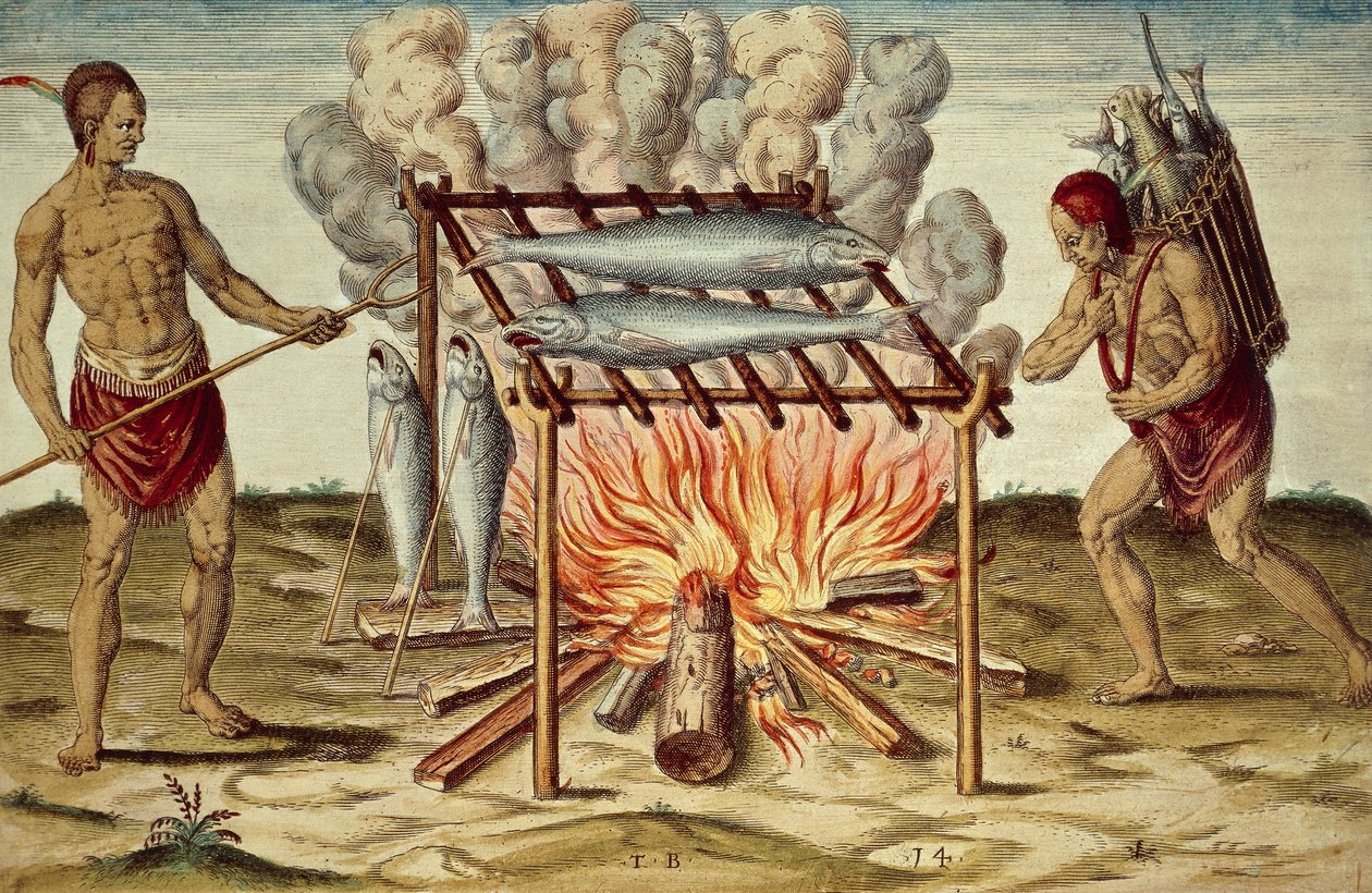 魚を調理するタイノ族の原住民、ジョン・ホワイトの絵からテオドール・デ・ブライ（1528-1598）が作成したカラー彫刻、『Brief and true report of new found land of Virginia』より。 作： セオドア・ド・ブリー