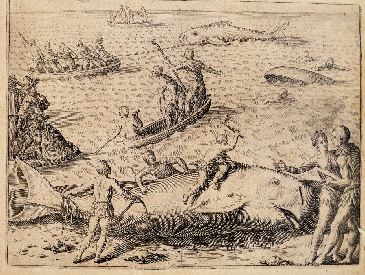 スピッツベルゲン付近での捕鯨、テオドール・デ・ブライ（1528-1598）の版画、『India Orientalis（東インド）』より 作： セオドア・ド・ブリー