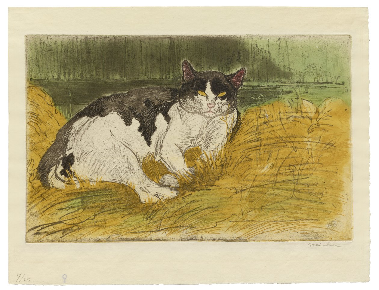 草の中の古い黒と白の猫 作： テオフィルアレクサンドル・スタインレン