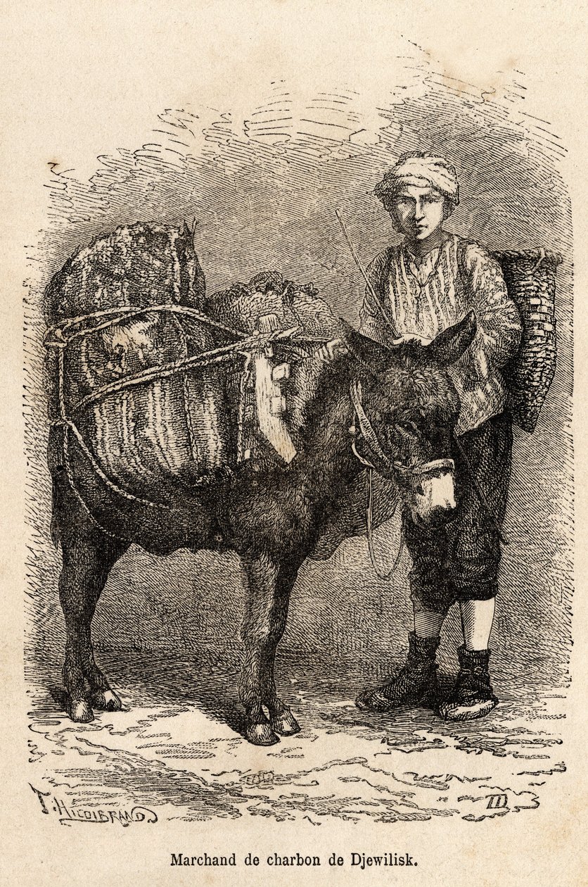 ジェウィリスク（北アナトリア）でロバを連れた石炭商人。1869年にラツィスタンとアルメニアの旅を描いた語り手の絵をもとに彫られたもので、テオフィル・デイロルが描いたもの。 作： テオフィルルイ・デロール