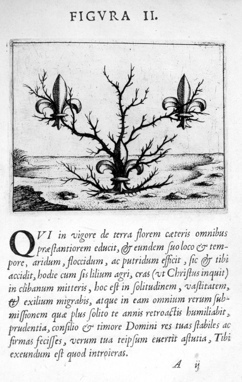 予後診断Eximii医師Paracelsusのファンタズム図2、1536。 作： Hohenheim ParacelsusからのTheophrastus bombastus
