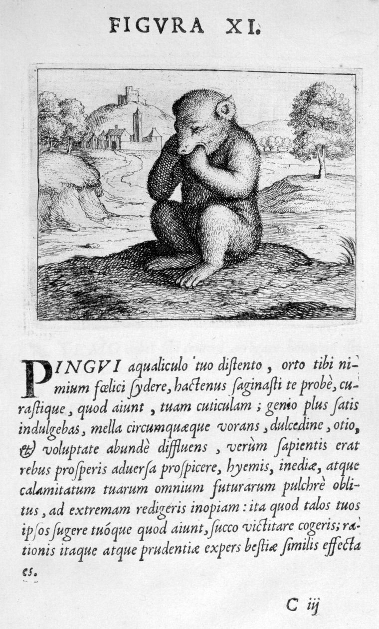 予後診断Eximii医師Paracelsusのファンタズム図11、1536。 作： Hohenheim ParacelsusからのTheophrastus bombastus