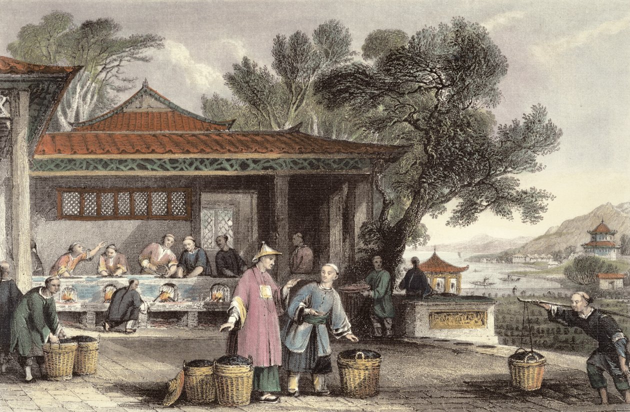 ジョージニューウェナムライト（1790〜1877年頃）による「中国の一連の眺めの中の中国」からのお茶の文化と調理1843 作： トーマス・アロム