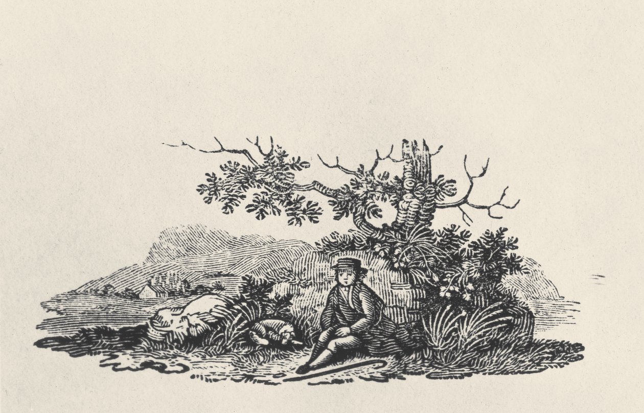 1797年に出版された、Land Birdsの木の下の紳士（木の彫刻） 作： トーマス・ビウィック