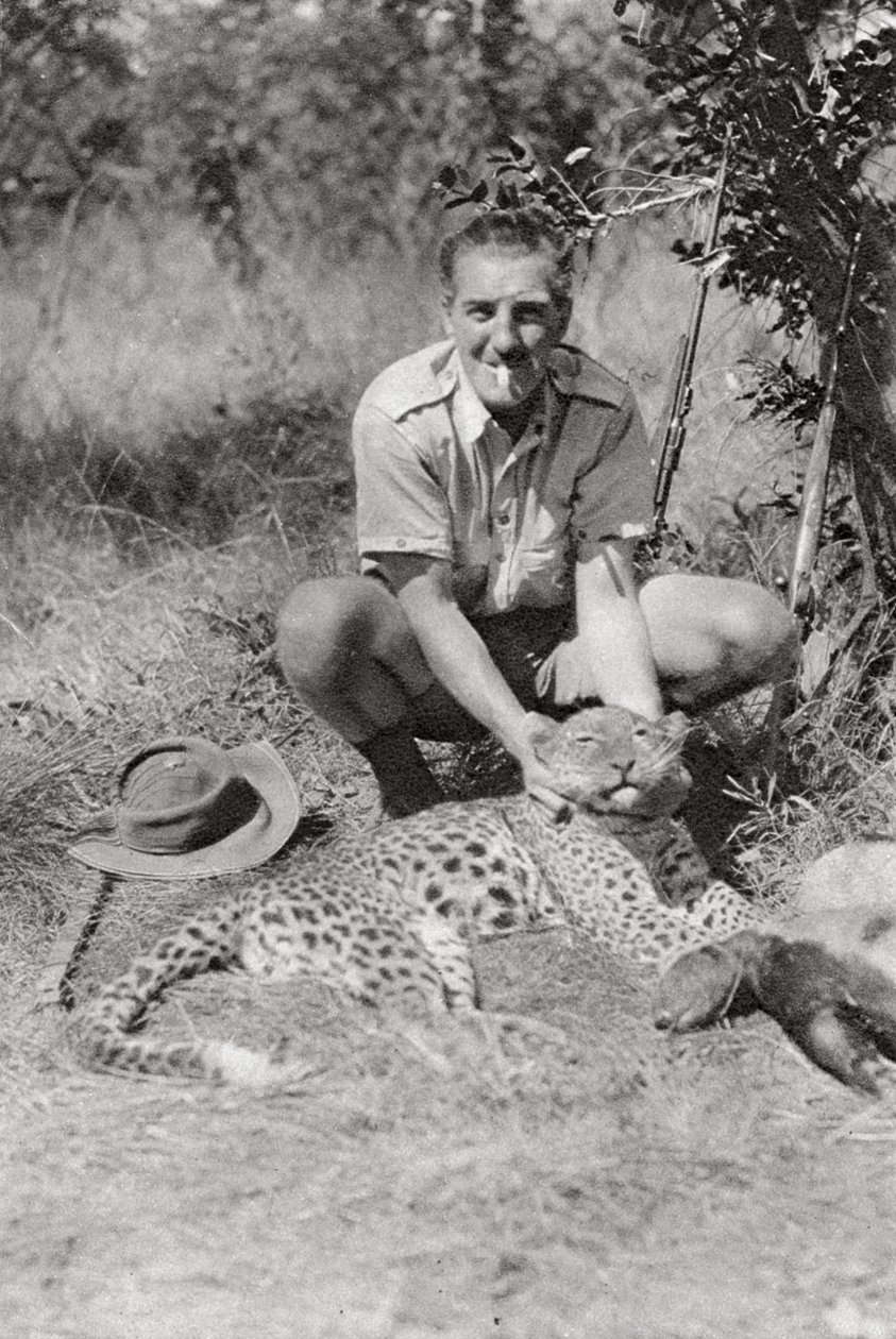 Chaplin Court Treatts leopard、Abercorn to Tukuyu、Tanganyika、1925 1927 作： トーマス・A・グローバー