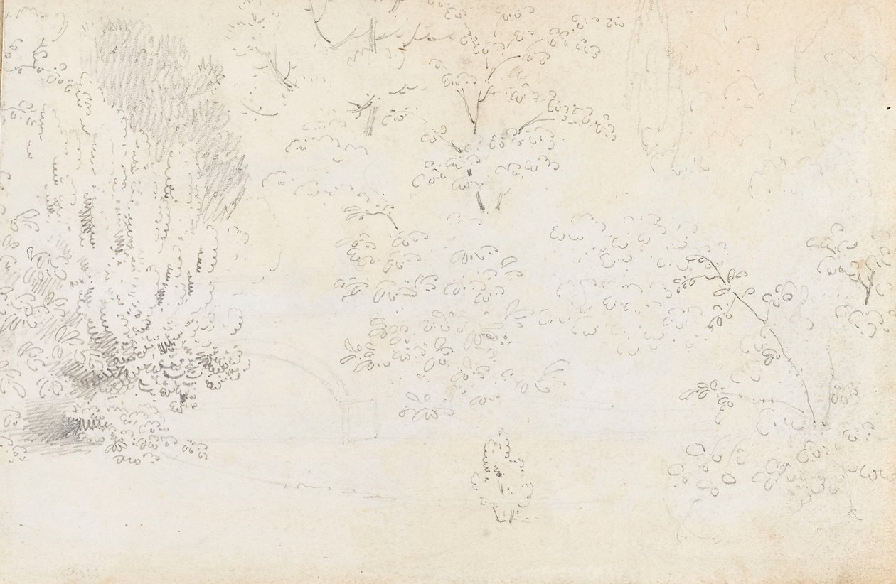 西側から橋と木々を描いた黒鉛画の習作（裏面） 作： トーマス・バクスター