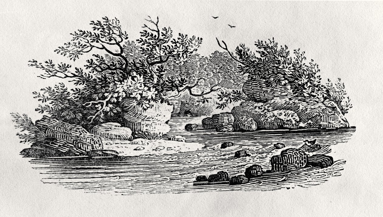 1804年に出版された「水鳥」より「川の曲がり角」（木版画 作： トーマス・ビウィック