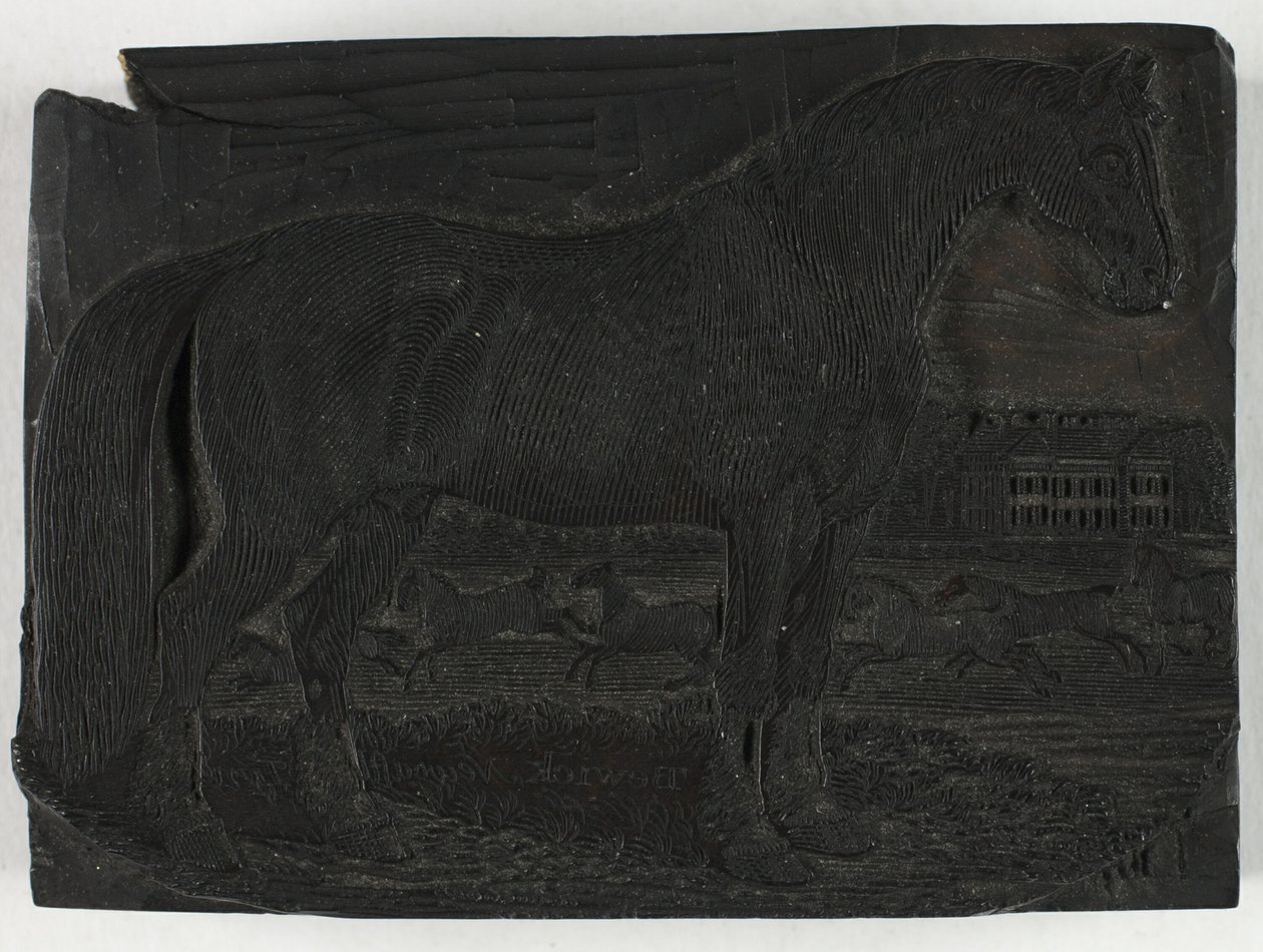 四足動物の一般的な歴史からの黒い馬の木版画 作： トーマス・ビウィック