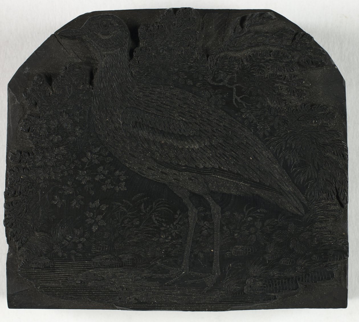 英国の鳥の歴史より、千鳥の木版画 作： トーマス・ビウィック