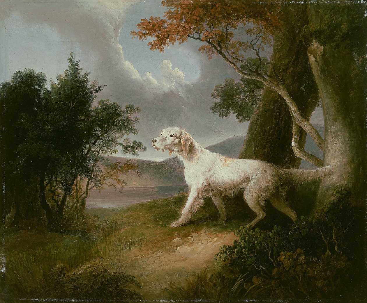 犬のいる風景 作： トーマス・ダウティ
