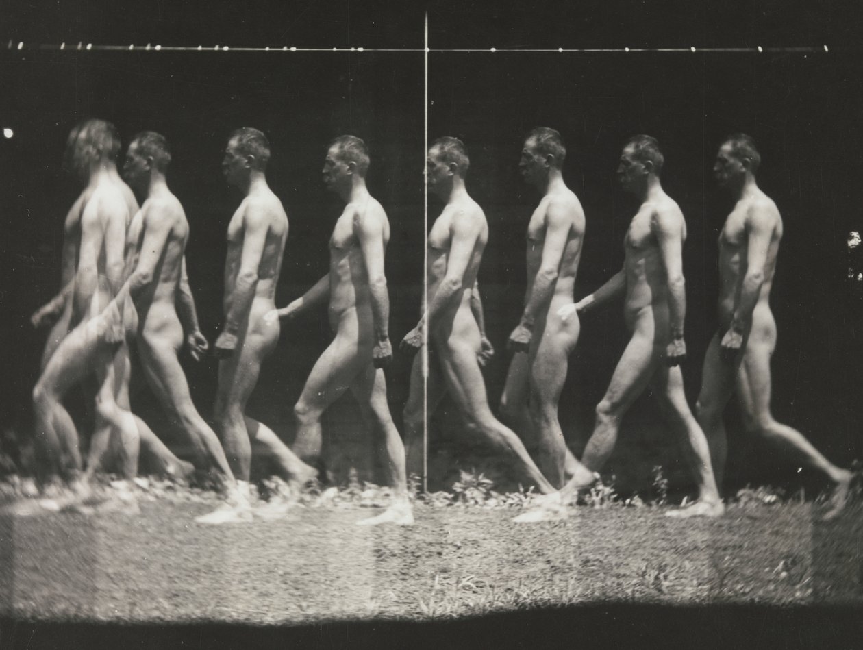 [Man Walking, Stroboscopic Photograph]、1880 年代、1930 年代から 40 年代に印刷、1880 年代に 1930 年代から 40 年代に印刷。 作： トーマス・イーキンズ