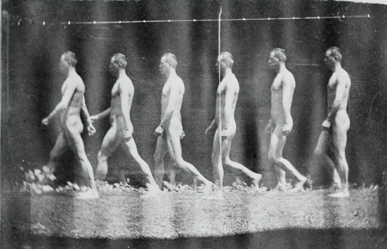 マレー ホイール ジェシー ゴドリーの写真、1884 年。 作： トーマス・イーキンズ