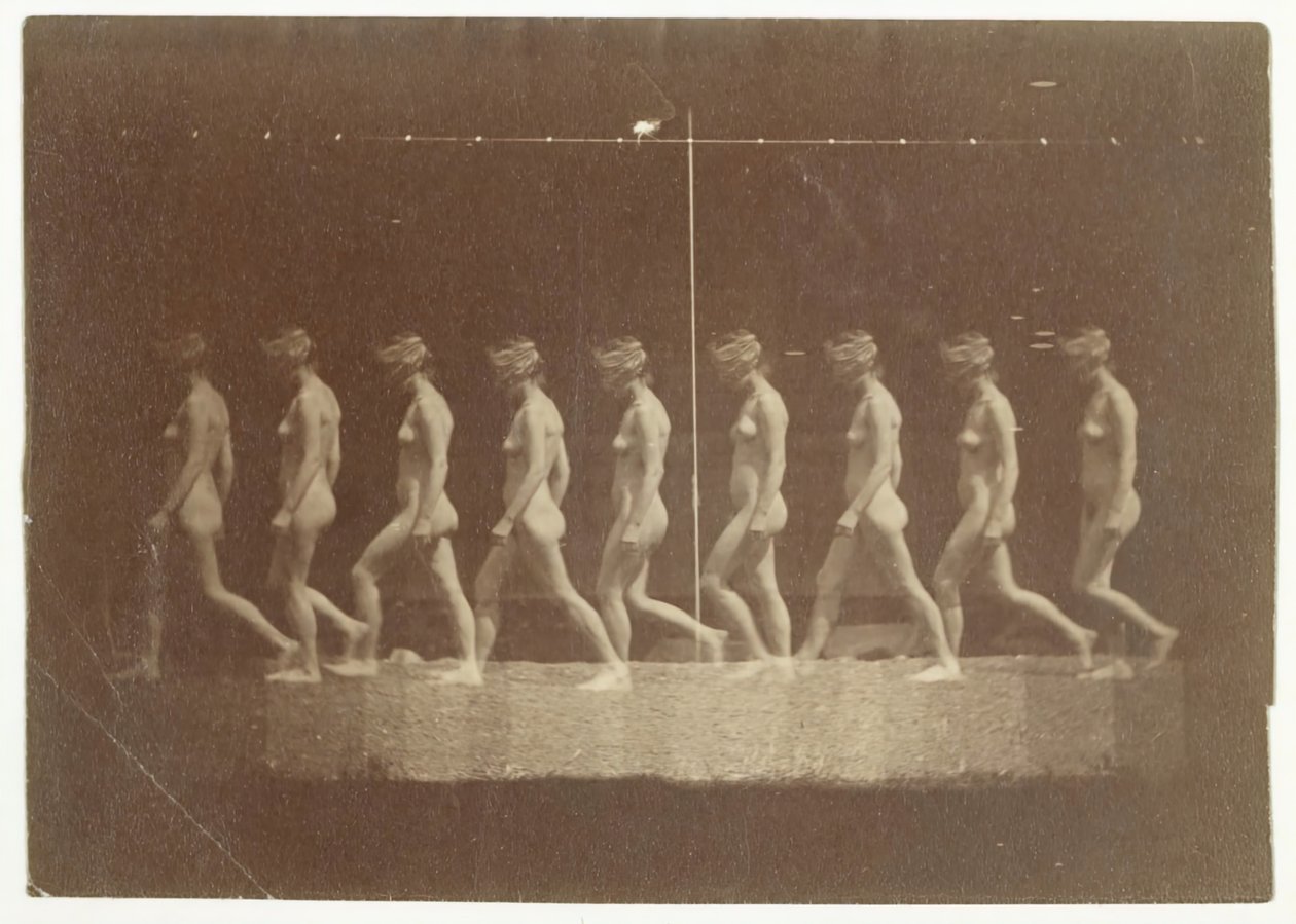 正体不明のモデルのマレー ホイールの写真、1884 年。 作： トーマス・イーキンズ