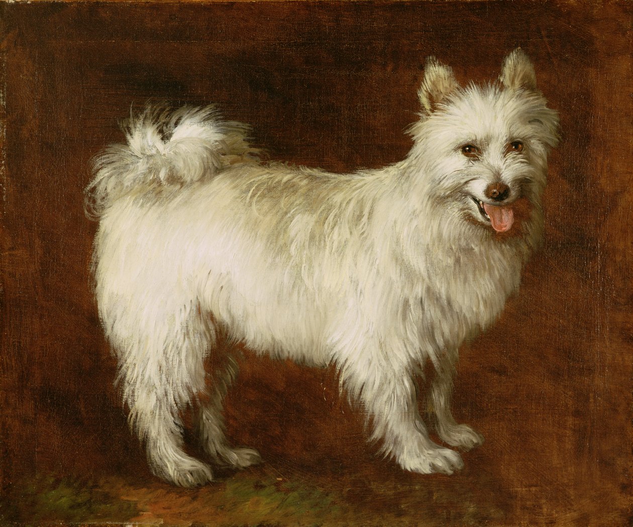 スピッツ犬、c.1760-70（キャンバスに油彩） 作： トーマス・ゲインズバラ