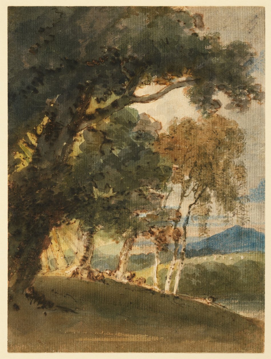 木々越しに見える川の谷と遠くの丘 作： トーマス・ガーティン