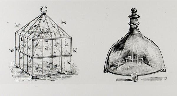 1900年に出版されたThomas Mawsonの「The Art and Craft of Garden Making」に掲載されたスズメバチとハエのトラップ（彫刻）（モノクロ写真） 作： トーマス・ヘイトン・モーソン