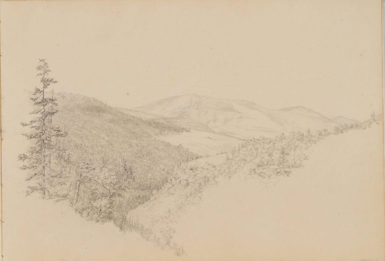 風景と動物の主題のスケッチブックからのカウタースキルのクローブ、カリフォルニア州。 1860-64。 作： トーマス・ヒース・ヒンクレー