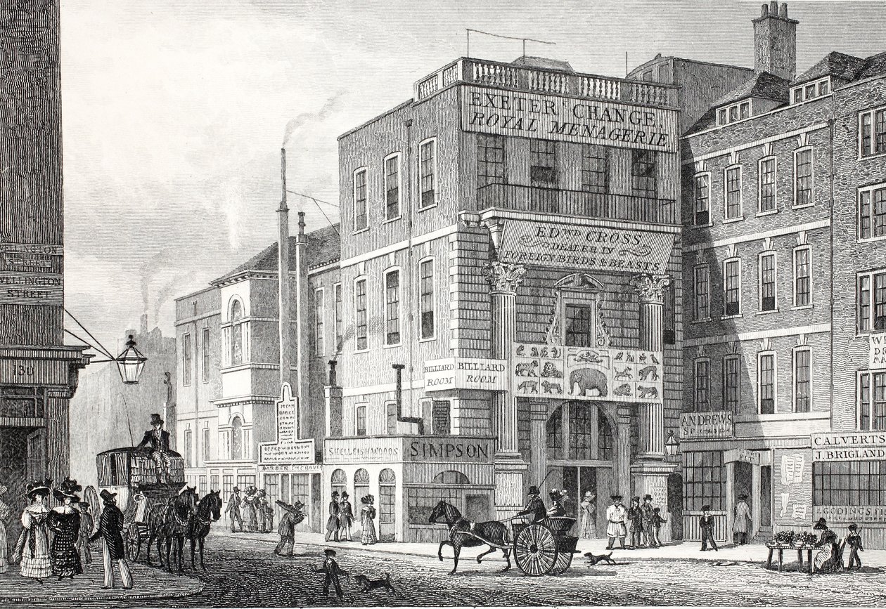 エクセターチェンジ、ストランド、「ロンドンと19世紀の環境」パブから。 Jones und Co.、1827-1829 作： トーマス・ホスマー・シェパード