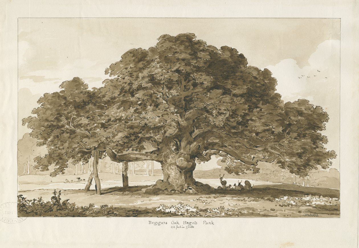 Blithfield-乞食のオーク：セピア画、1837年 作： トーマス・ペプロー・ウッド
