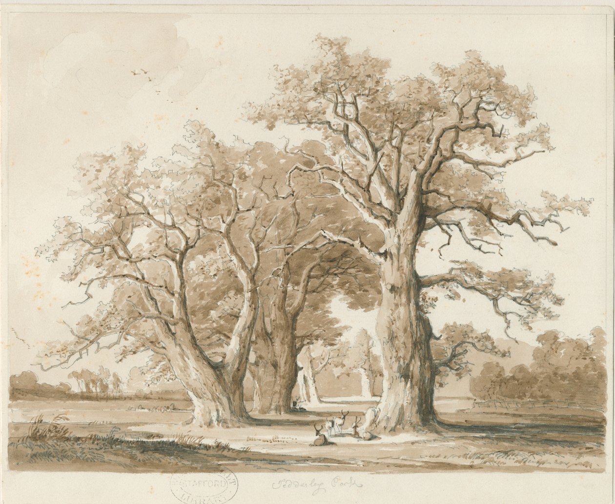 テデスリーホール-オークの木：鉛筆とウォッシュのデッサン、nd [1842