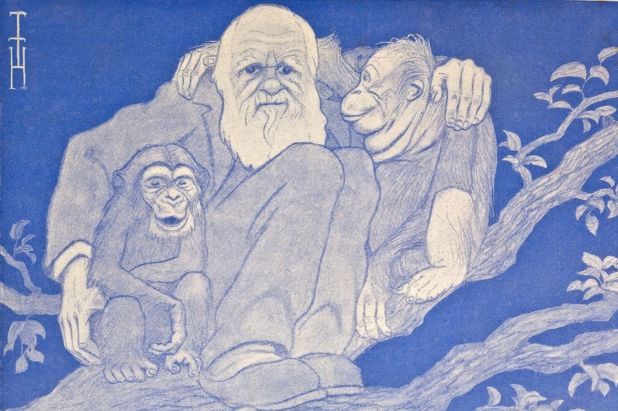 1909年の漫画、ダーウィンとサルのディテール