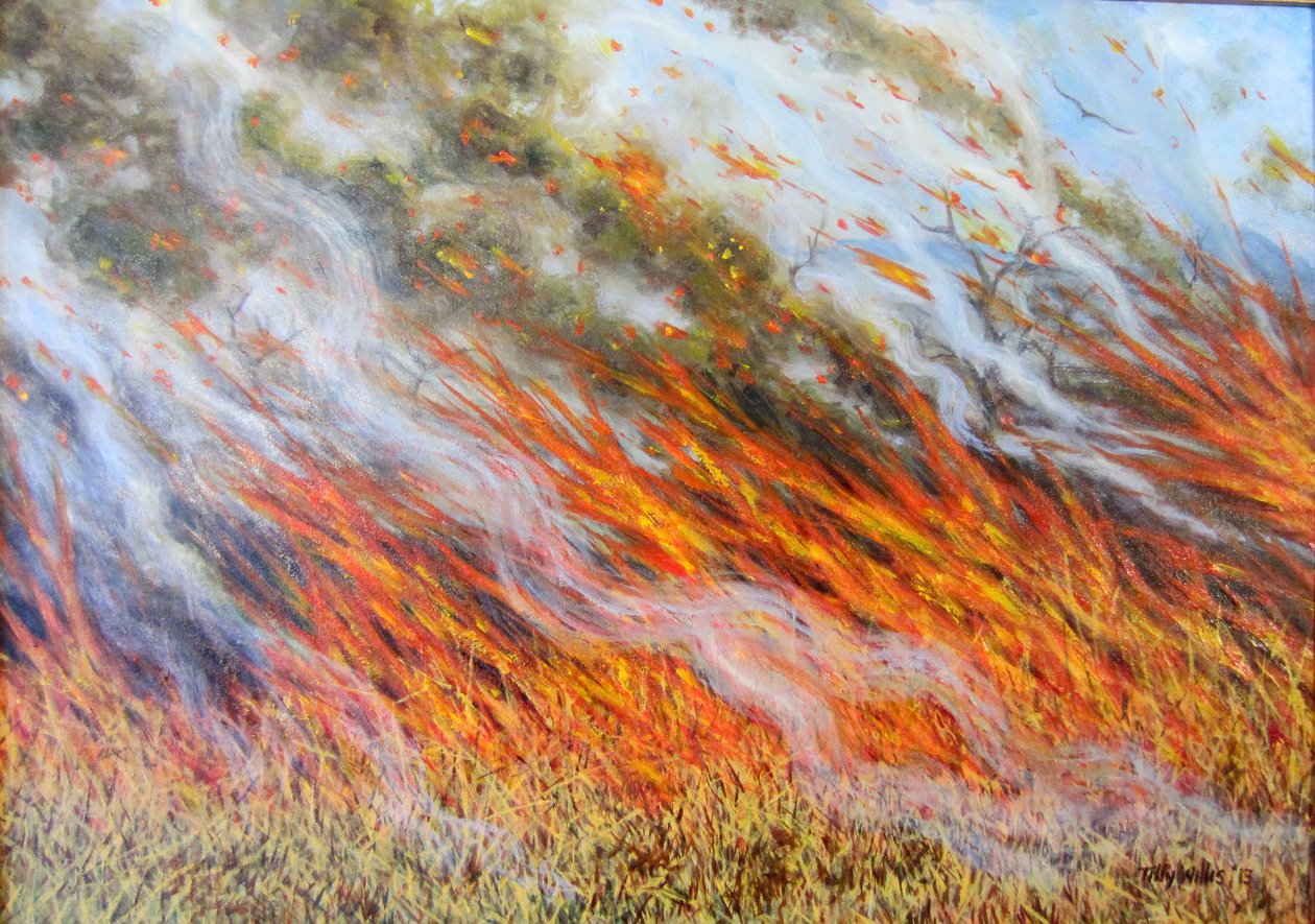 Bushfire Inferno、2014年、 作： ティリーウィリス