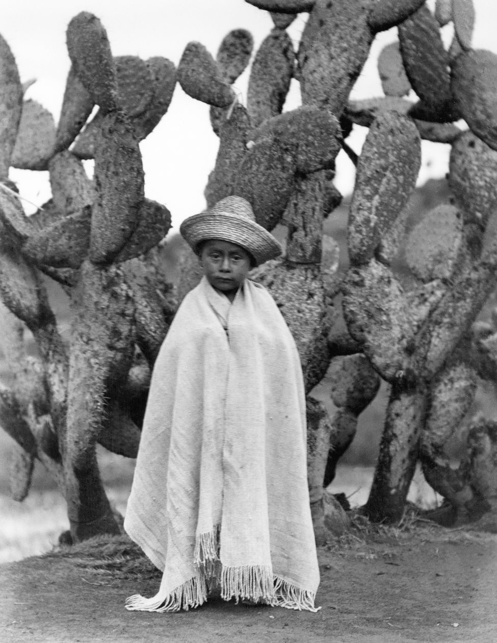 サボテンの前の少年、メキシコ、ベラクルス州、1927年（bw写真） 作： ティナ・モドッティ