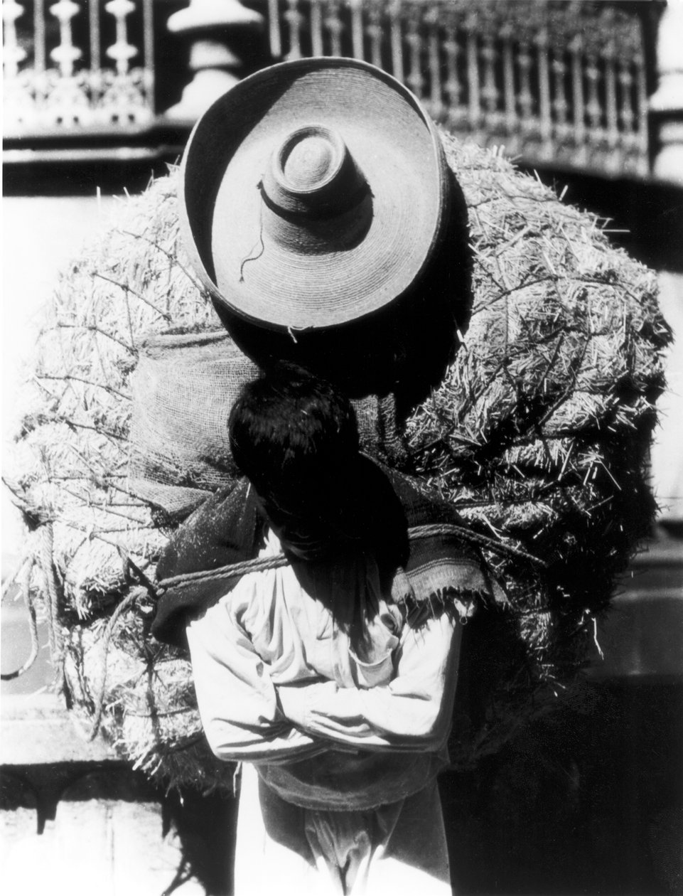 カンペシーノ、ベラクルス州、メキシコ、1927年 作： ティナ・モドッティ