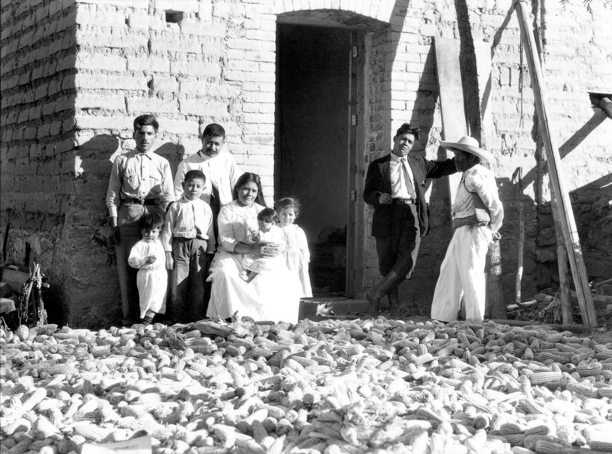 1927年にメキシコ、ベラクルス州のトウモロコシと家族 作： ティナ・モドッティ
