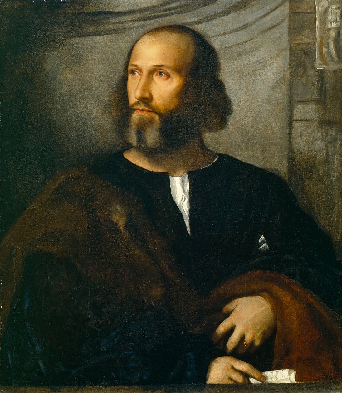 ひげを生やした男の肖像、1515年 作： Tiziano Vecelli