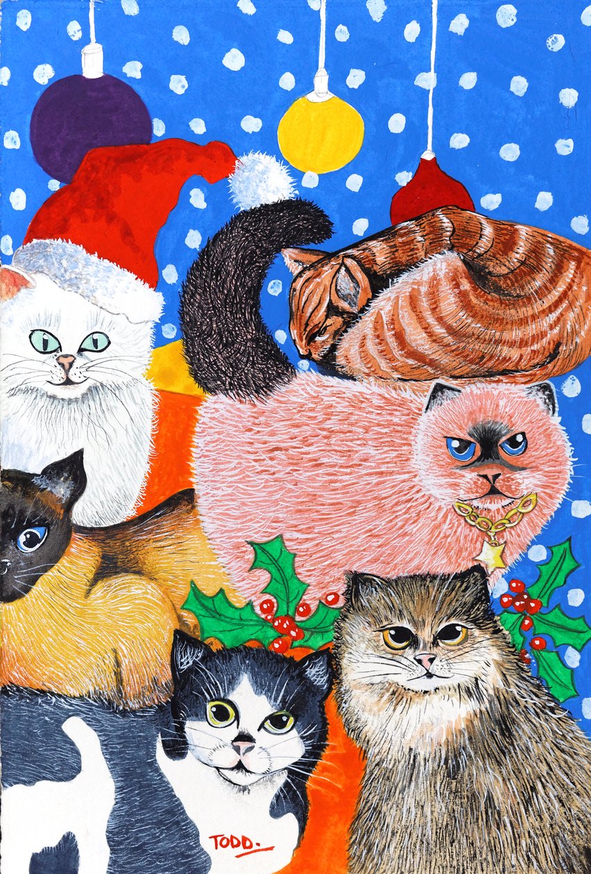 クリスマスキャッツ 作： トニー・トッド