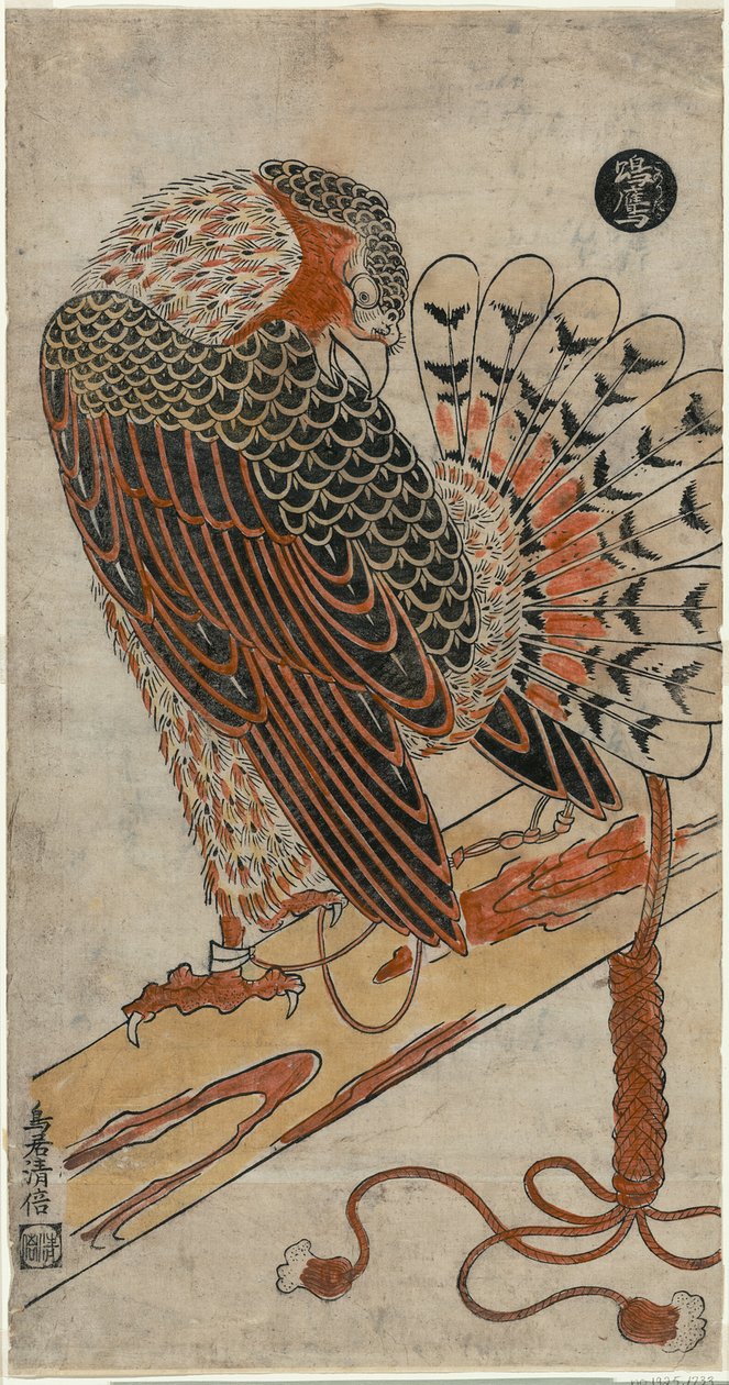 ハイタカ（鷹のり） 作： 鳥居清益初代