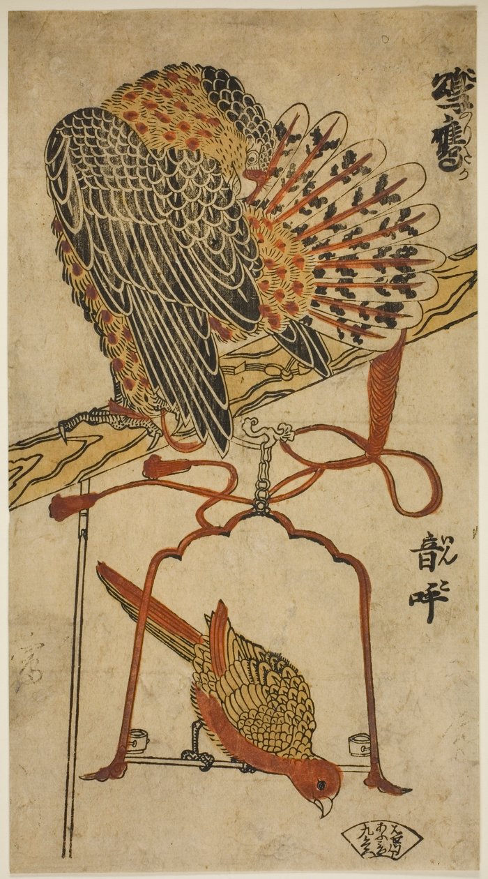ハイタカとコンゴウインコ (ハイタカとコンゴウインコ) 作： 鳥居清益初代