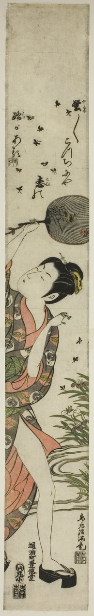 ホタルを追う 作： 鳥居清光初代
