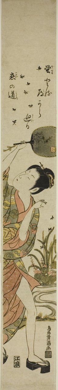 ホタルを追う 作： 鳥居清光初代
