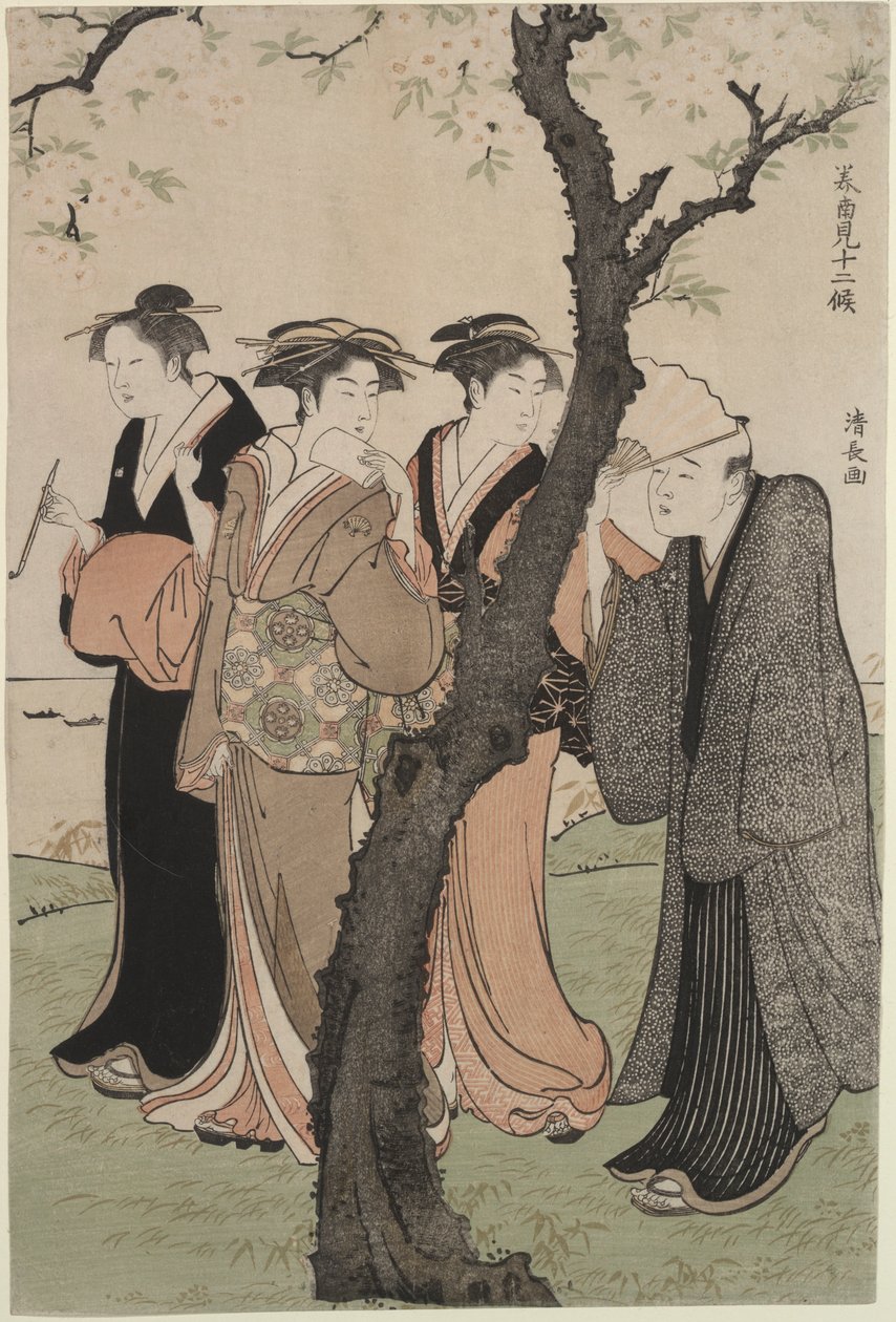 3月 御殿山の桜の時期 作： 清永鳥居
