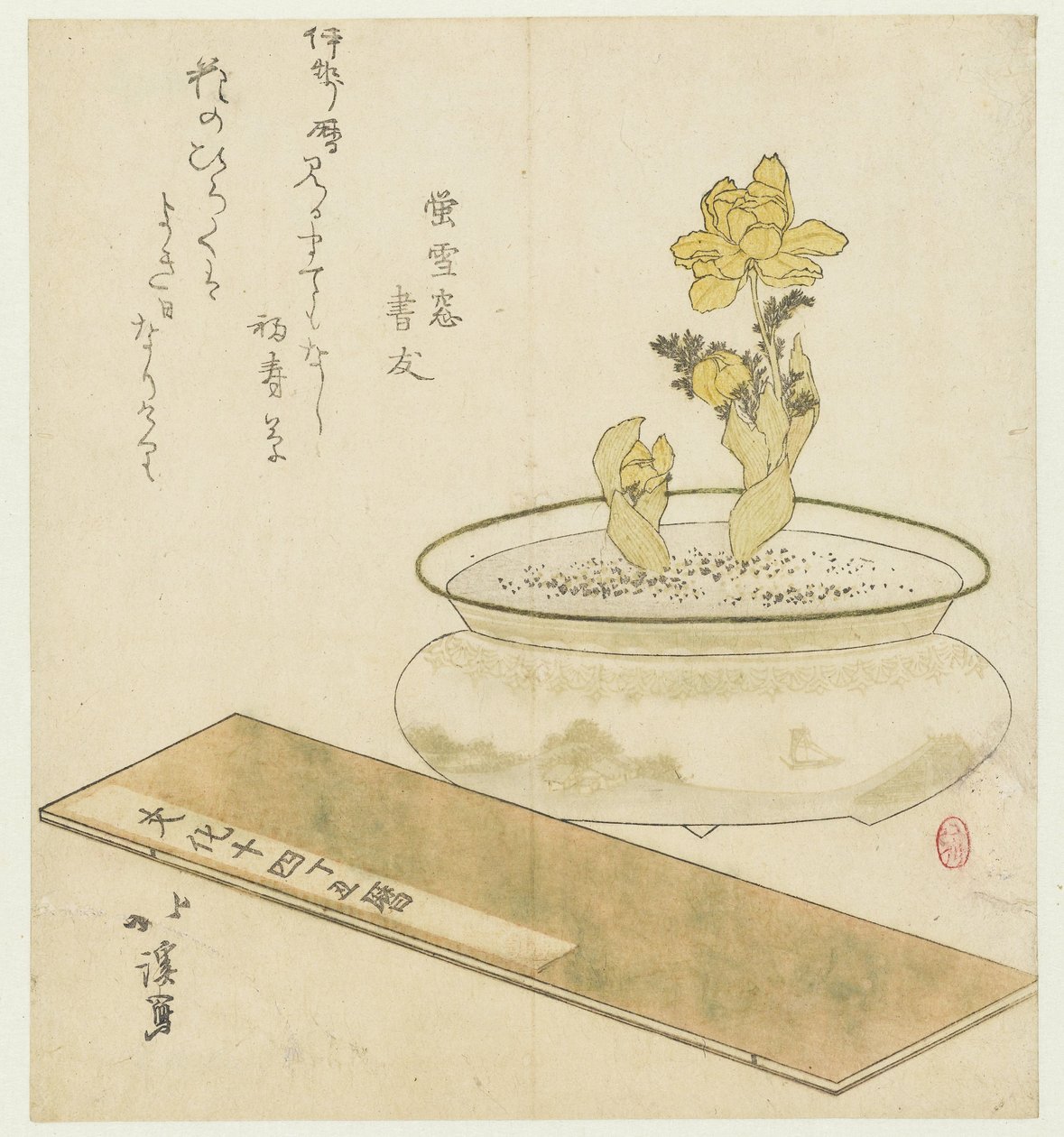 鉢植えと年鑑 作： 魚屋北渓