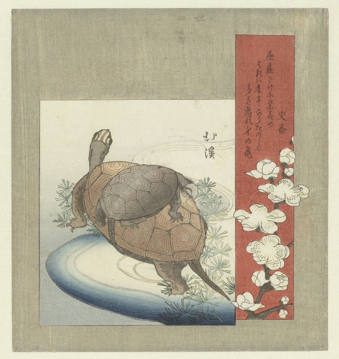 カメ 作： 魚屋北渓