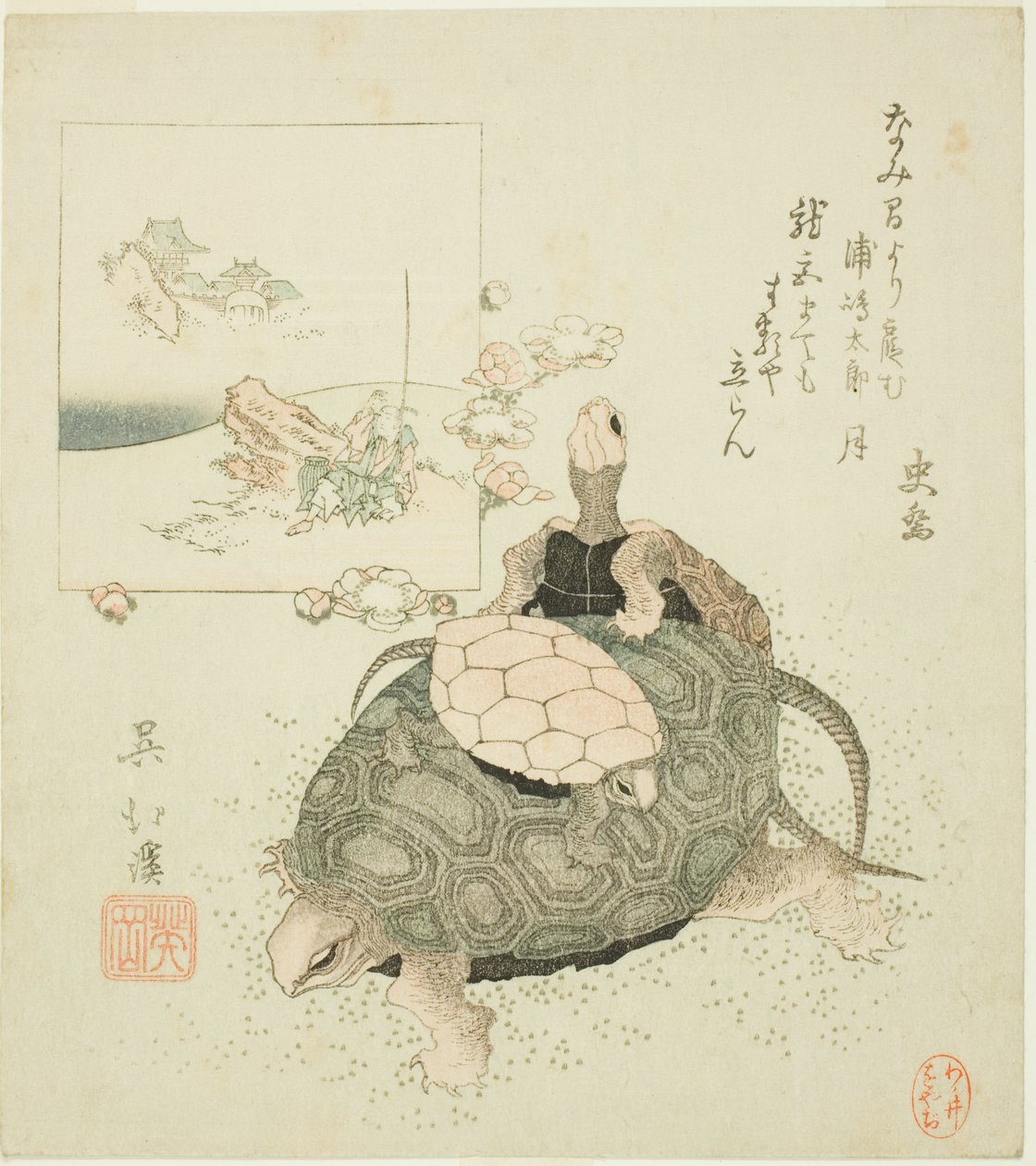 Sea turtles and Urashima Taro 作： 魚屋北渓
