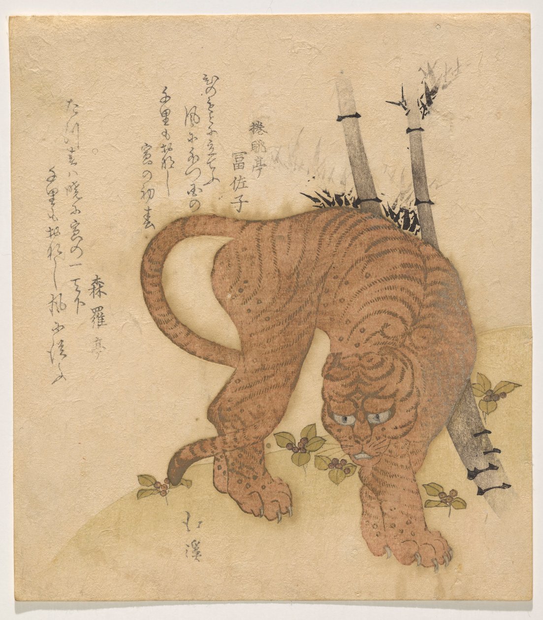 ポーズをとるトラ 作： 魚屋北渓