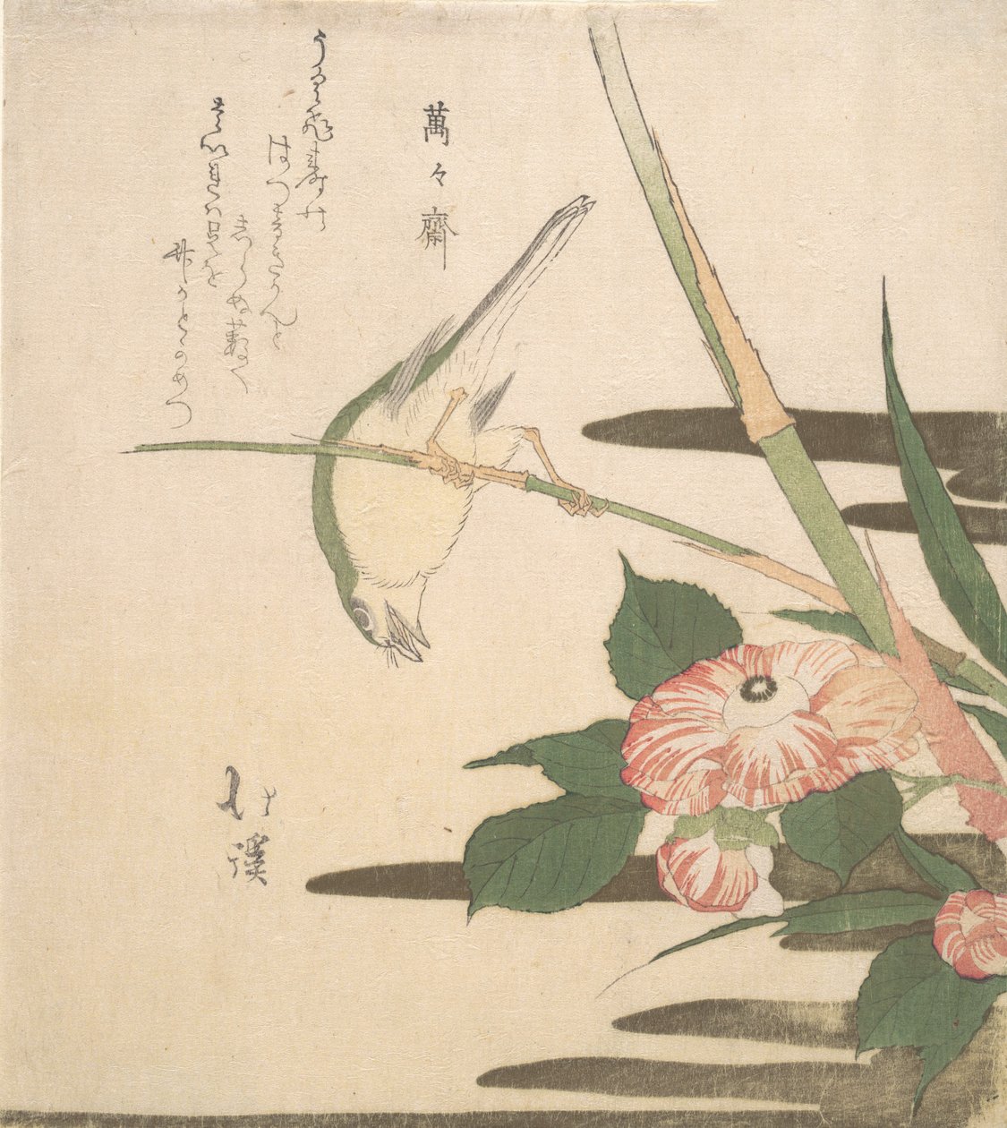 ウグイスとツバキ 1815-20年頃 作： 魚屋北渓