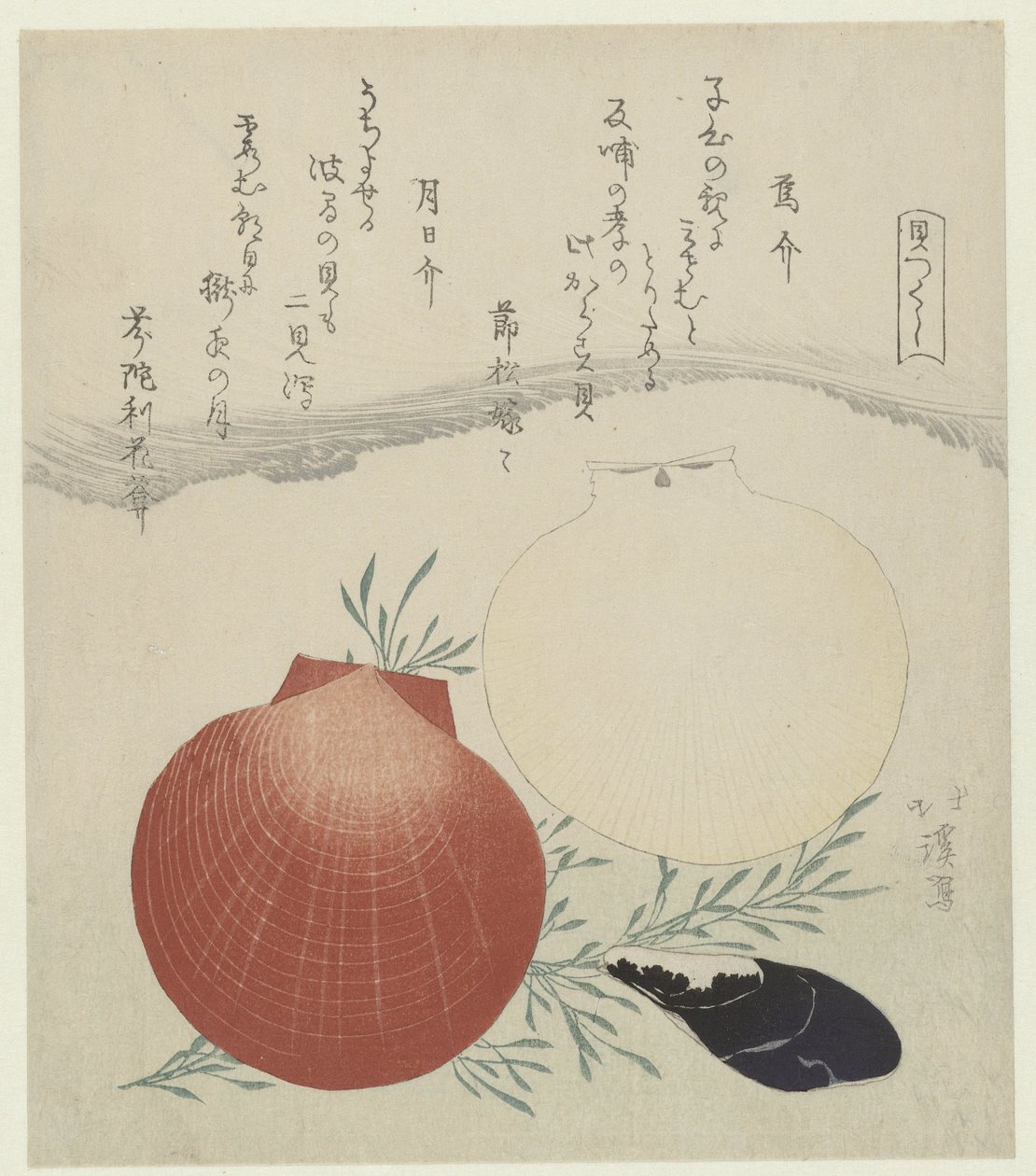 ムール貝と日月貝柱 からすがいつきひがい 一連のシェル (シリーズ タイトル) かいつくし 作： 魚屋北渓
