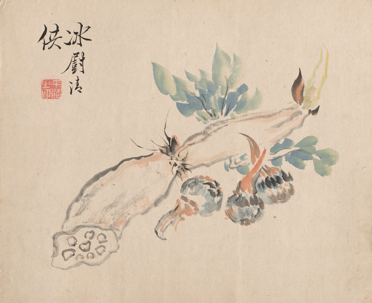 Lotus RootとAdders Tongue。 作： つばきCh山